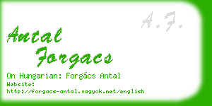 antal forgacs business card